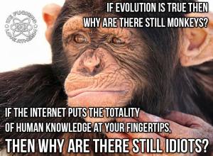 10513521_707720149302473_8707045968497366289_n