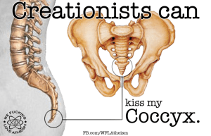 10675551_768304813244006_303347569351984377_n