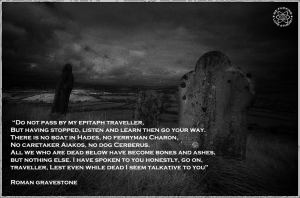 1240109_531257520282071_1250915041_n