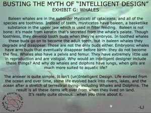 16898_436396366434854_521911314_n