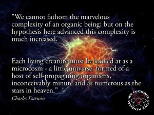 311109_449280118479812_187404955_n