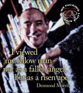 379313_420551371352687_1983840593_n