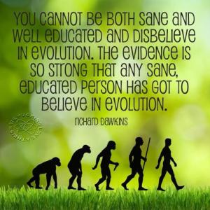 419842_441697105904780_202404584_n