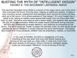 426016_436395786434912_467056769_n