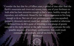 522597_402199446521213_1527927744_n