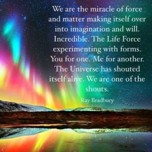 554423_429544707120020_1928284512_n