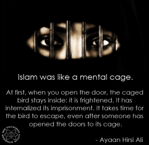 600578_430189167055574_426942062_n