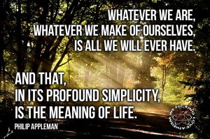 923551_473738309367326_590280884_n