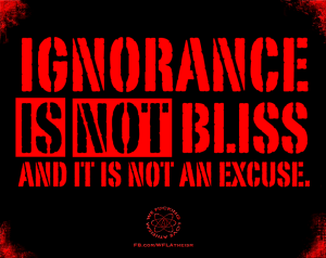 942219_481081671966323_1199376603_n