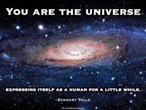 972348_487609574646866_1353743814_n