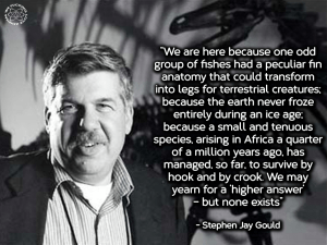 1009884_490921920982298_2027929277_n