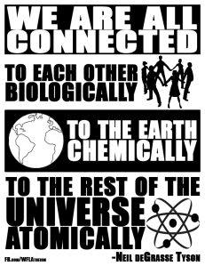 10151362_653960874678401_5718052237777638693_n