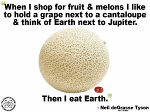 10153124_651457998262022_7055917806478881592_n