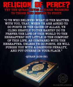 10154092_661568853917603_809475278916035912_n