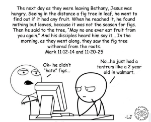 12065_538498602891296_2089097213_n