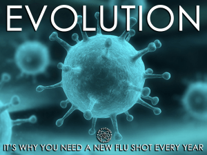 1380374_560140687393754_411638595_n