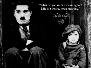 1392038_548810365193453_233774653_n