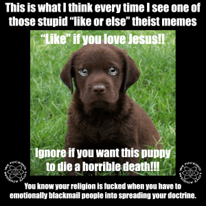 429691_445652148842609_1772259178_n