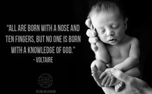 10353579_678439548897200_6945738496360363289_n