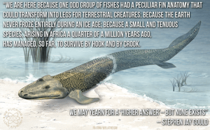 10371728_678725895535232_1562811554167217070_n