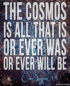 10387553_700169776724177_4536035023148839207_n