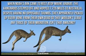 10402845_679731838767971_2278281472141315254_n