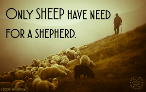 10421975_842434052497748_3474698714589154052_n