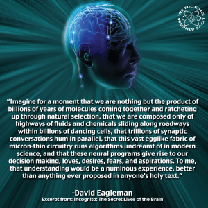 10447530_688122271262261_6389618796392067966_n