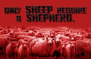 10487243_704472162960605_3256283094606635387_n