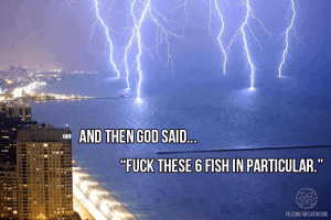 11110784_868439406563879_4593520884023987787_n