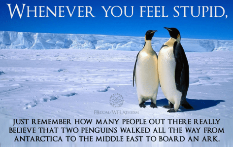 11412333_891765187564634_7635342677993952013_n