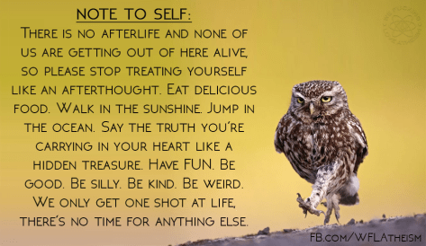 11692754_908700635871089_4799427901032442689_n