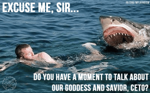 1656012_783842091690278_8015084932640957858_n