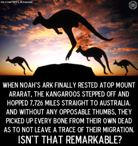 kangaroos