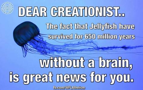 10257260_757786364242223_6038602919964579882_n