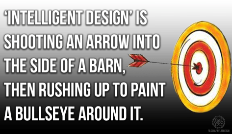 12249737_989352607805891_5692791579206525359_n