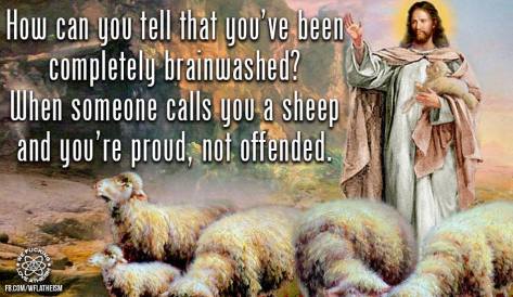 12342730_997253317015820_2456590379561822320_n