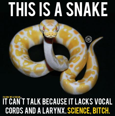 snake
